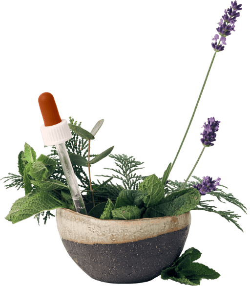 Schale mit Lavendelblüten, Minzblättern, Fichtennadeln und Pipetten mit ätherischen Ölen – Symbol für 100 % naturreine ätherische Öle von UpCandle